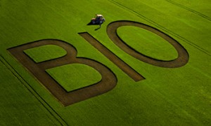BIO